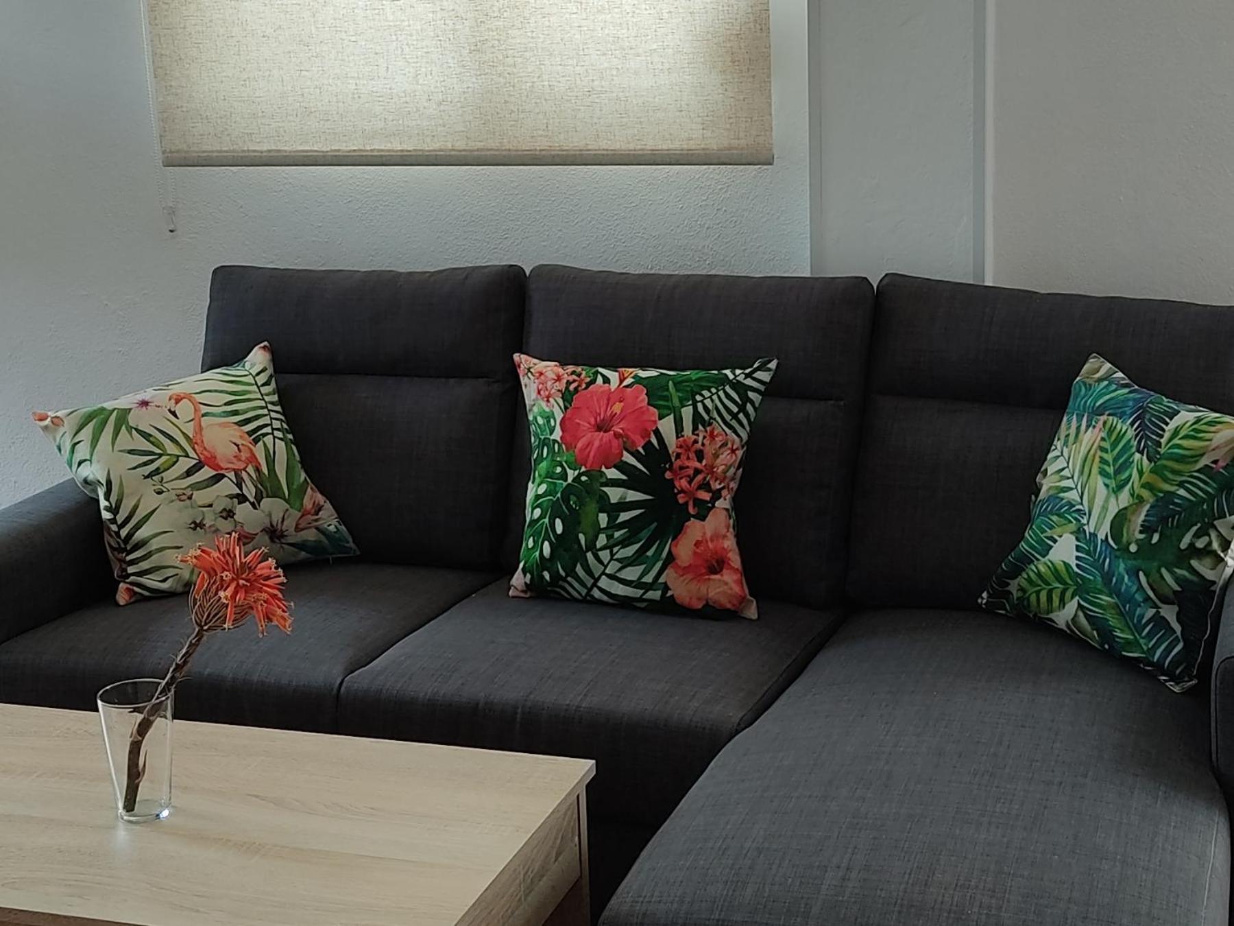 Apartamentos Bolonia Habitación foto